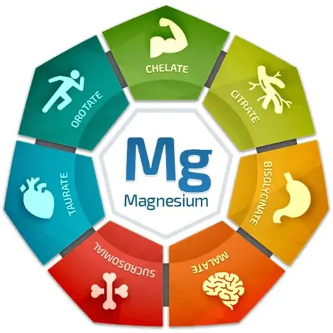 Diagram with the 7 forms of magnesium
